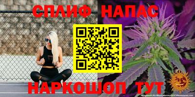 стаф Малгобек