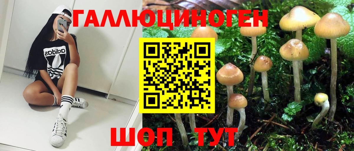 Псилоцибиновые грибы прущие грибы Ульяновск