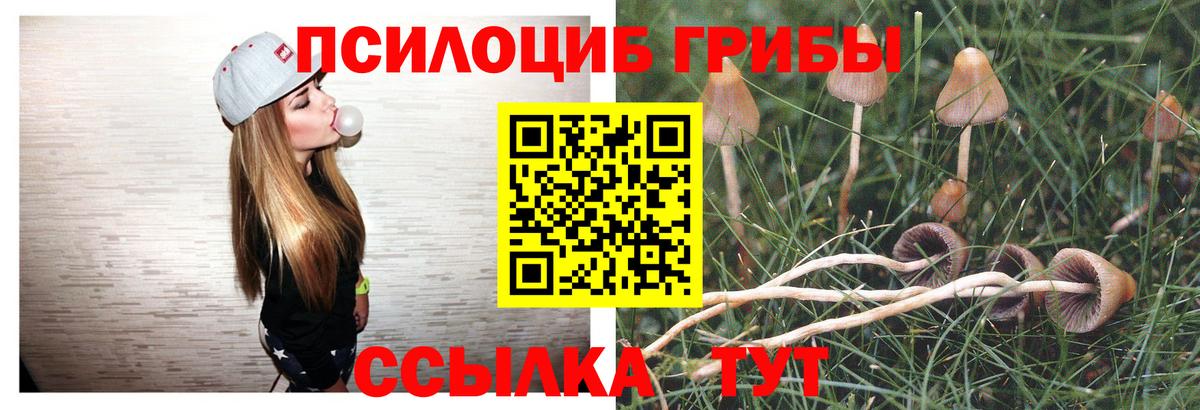 Галлюциногенные грибы GOLDEN TEACHER  Вход с VPN  Ульяновск  Псилоцибиновые грибы Psilocybe 